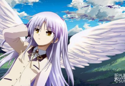 日本动漫肉片,日本动漫肉片大揭秘