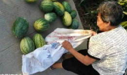 保定吃瓜最新爆料视频大全,最新爆料视频大全汇总